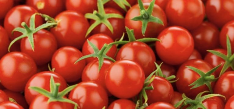 Mastering the Art of Container Gardening: Determinate vs. Indeterminate Tomatoes