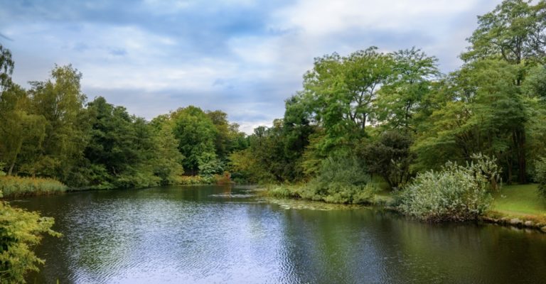 Refining the landscape by expanding the Wildlife Pond and its marine ecosystem.